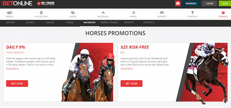 Nevada Online Sports Betting Sites and Apps in [cur_year] - Best NV Sportsbooks
