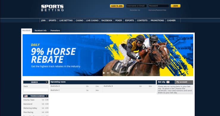 BetUS Horse Rebate