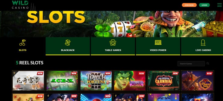 Play at Wild Casino