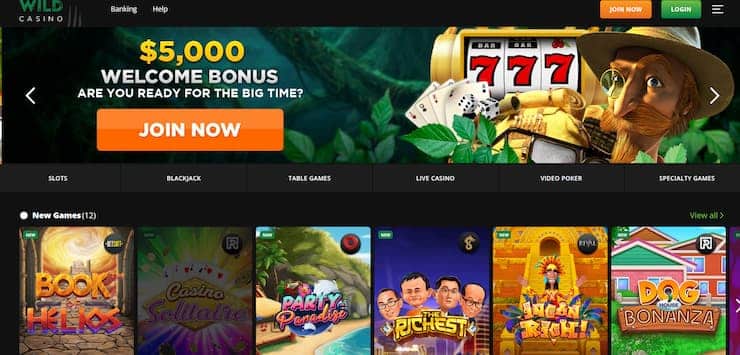 Wild Casino - The best casino in Michigan