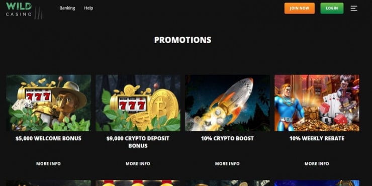Wild Casino Promotions Page - Online Casinos That Accept Visa