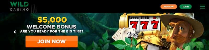 Wild Casino