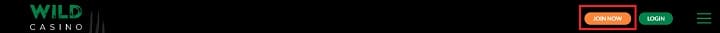 Wild Casino Top Banner
