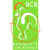 Basquete de Barcelos
